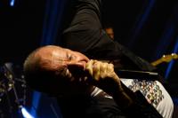  Foto: Marcel Linke