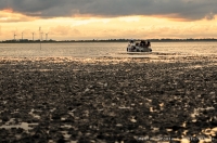  Foto: Sven A. Droste