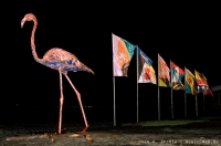  Foto: Sven A. Droste
