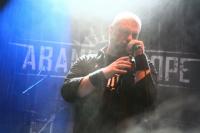  Foto: Marcel Linke