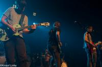  Foto: Kristof Linke