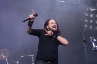  Foto: jdg