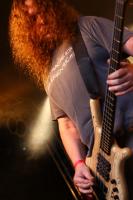  Foto: Marcel Linke