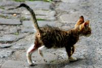  Foto: Marcel Linke
