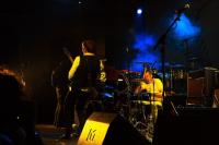  Foto: Marcel Linke
