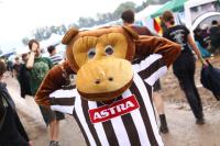  Foto: Marcel Linke