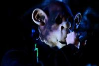  Foto: Marcel Linke