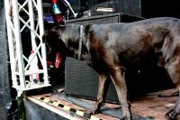  Foto: Marcel Linke
